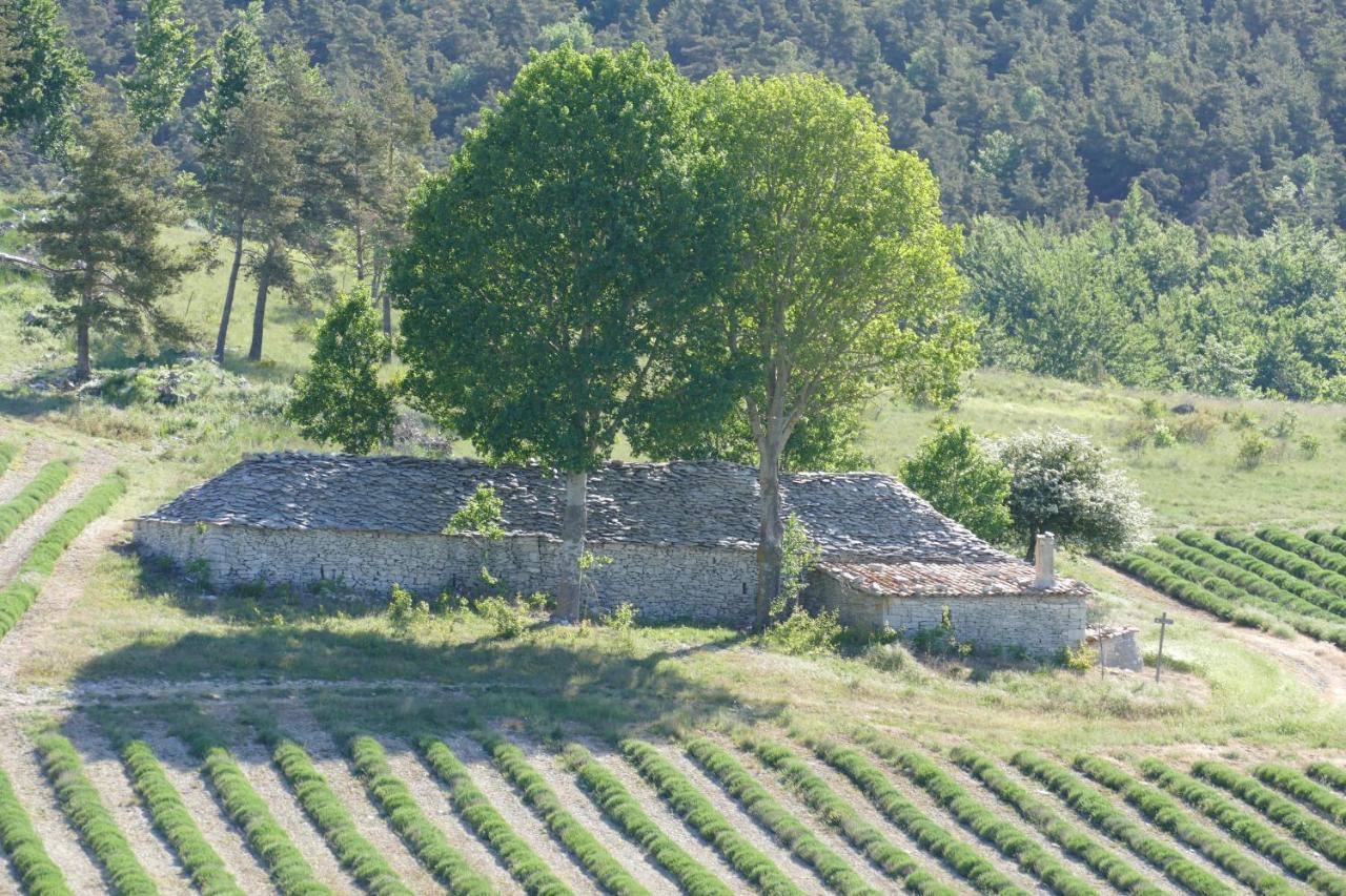 Les Bois Rouges Bed & Breakfast La Rochegiron Bagian luar foto
